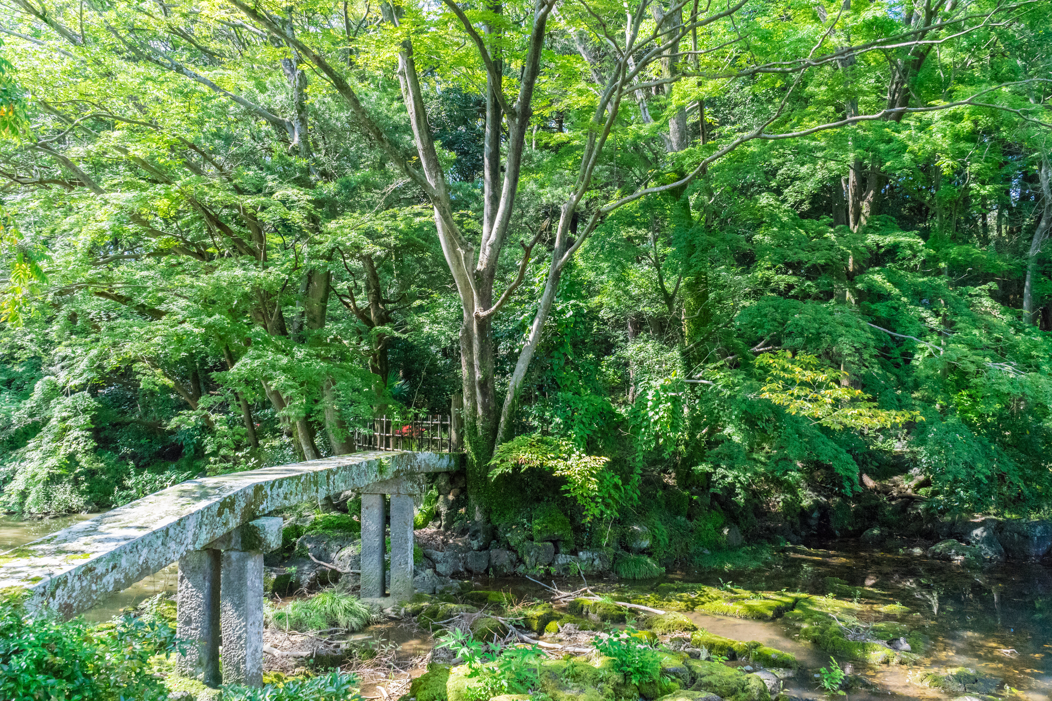 石橋を叩いて渡る　#275